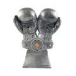 kisiye-ozel-yilin-boksoru-odul