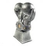 kisiye-ozel-yilin-boksoru-odul2