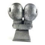 kisiye-ozel-yilin-boksoru-odul4