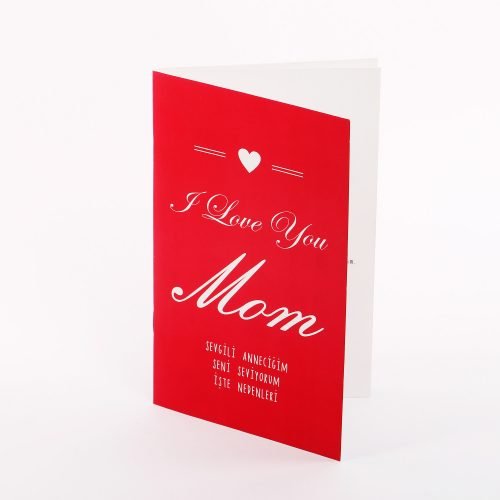 Seni Seviyorum Anne Kitapçığı (I Love You Mom )