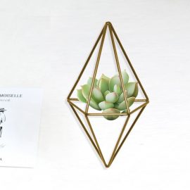 AIR PLANT HANGER