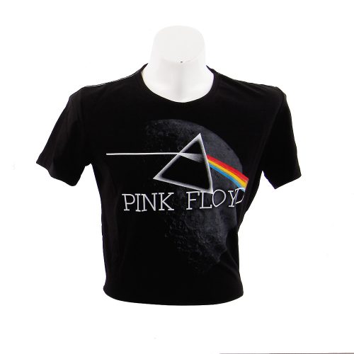 Pink Floyd Siyah Erkek Tişört