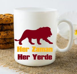 Aslan Kupa