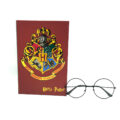 Harry Potter Gözlük Defter Set