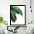 Palmiye Yaprağı Çerçeve 
