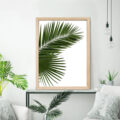 Palmiye Yaprağı Dekoratif Çerçeve