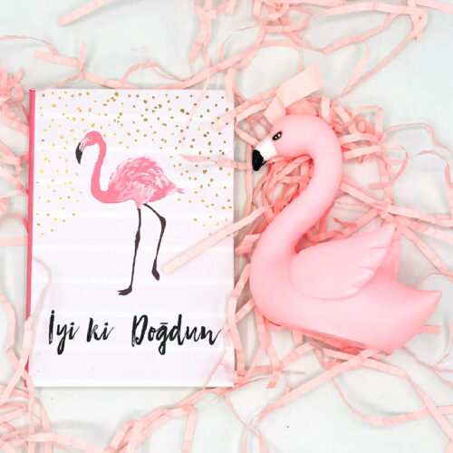 flamingo-iyiki-dogdun-seti2