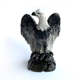 Kartal Biblo
