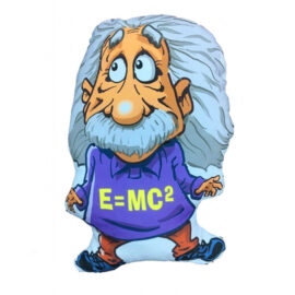 Einstein Yastık