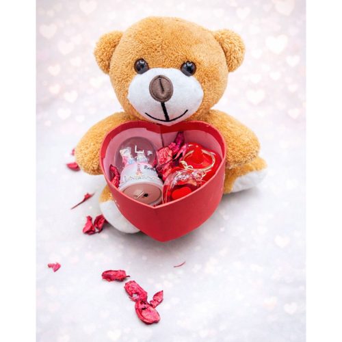 kalpli-ayicik-suprizi2